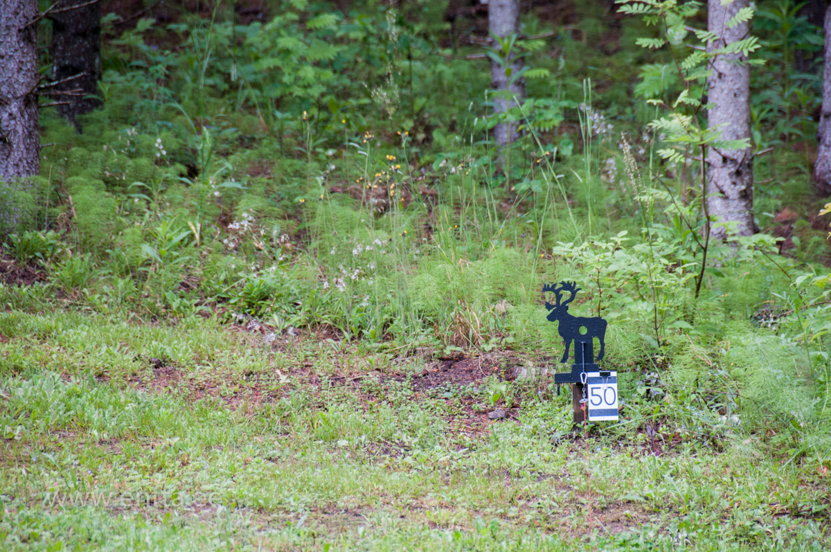 023 Target on the ground